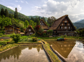 Japanese nature | Японская природа