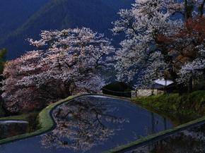 Japanese nature | Японская природа