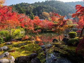 Japanese nature | Японская природа