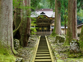 Japanese nature | Японская природа