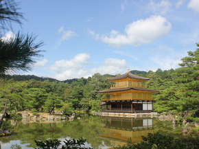 Japanese nature | Японская природа
