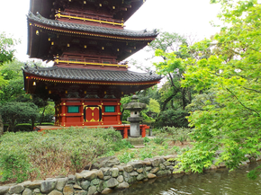 Japanese nature | Японская природа