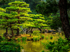 Japanese nature | Японская природа