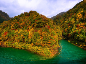 Japanese nature | Японская природа