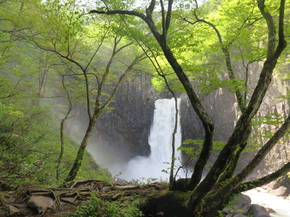 Japanese nature | Японская природа