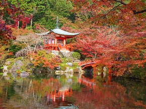Japanese nature | Японская природа