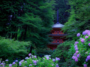 Japanese nature | Японская природа