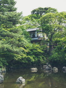 Japanese nature | Японская природа