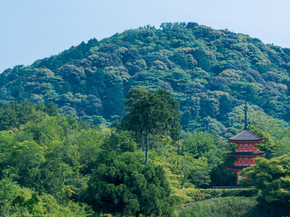 Japanese nature | Японская природа