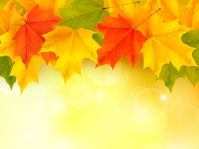 Foliage | Листья Foliage | Листья