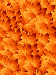 Foliage | Листья Foliage | Листья