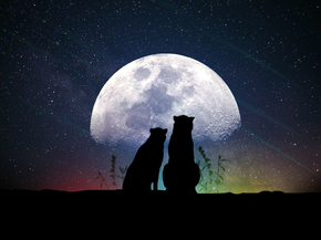 Moon | Луна