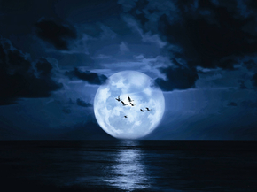 Moon | Луна