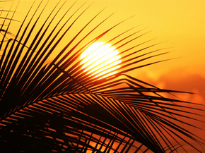 Nature | Природа