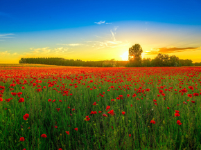 Nature | Природа