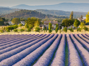 Provence | Прованс