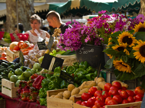 Provence | Прованс