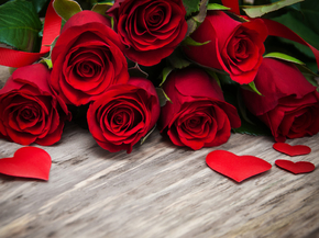 Roses | Розы