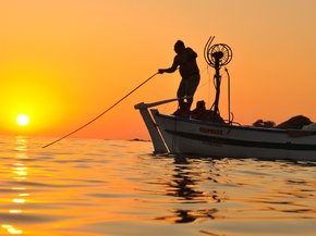 Fishing | Рыбалка