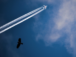 Plane | Самолет