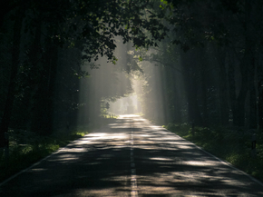 Road | Дорога