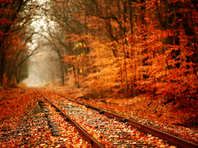 Autumn | Осень