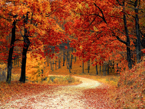 Autumn | Осень