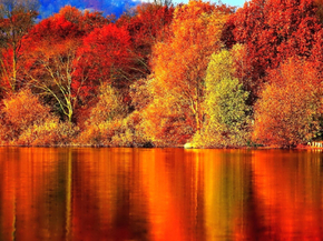 Autumn | Осень