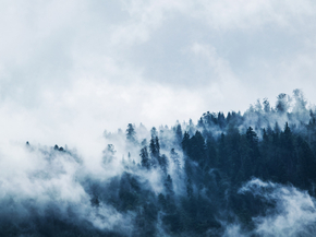 Fog | Туман
