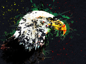Eagle | Орел