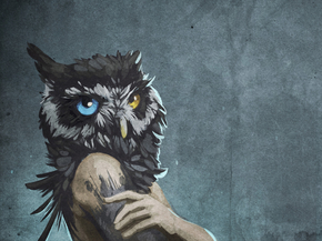 Owl | Сова