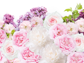 Peonies | Пионы