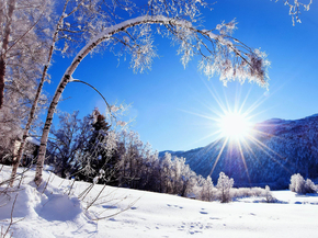 Winter | Зима