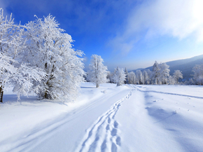 Winter | Зима