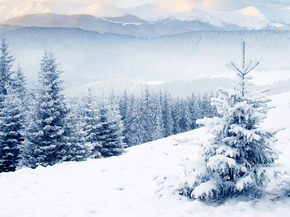 Winter | Зима