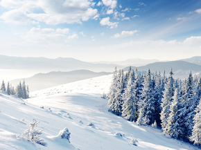 Winter | Зима