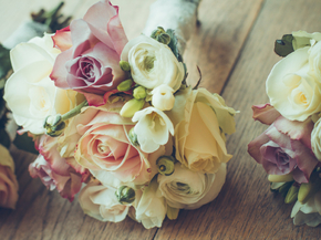 Roses | Розы