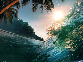 Wave | Волна