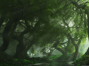 Jungle | Джунгли