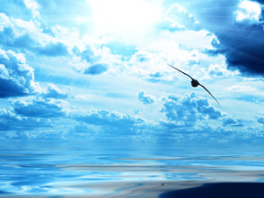 Sky | Небо
