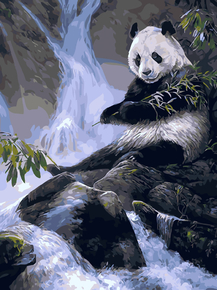 Panda | Панда