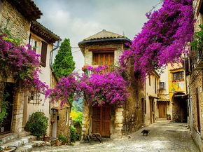 Provence | Прованс