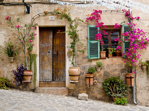 Provence | Прованс