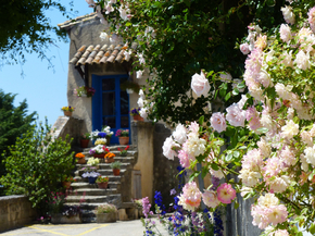 Provence | Прованс