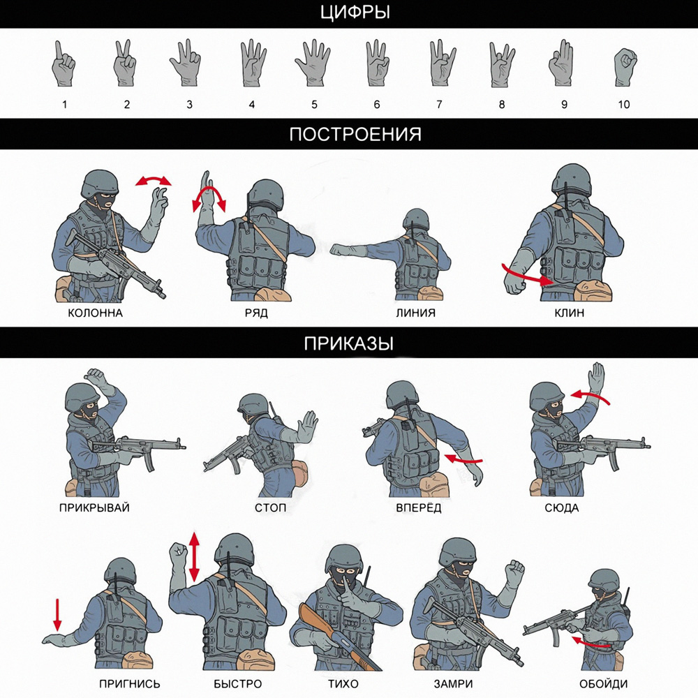 Цифры, Построения, Приказы