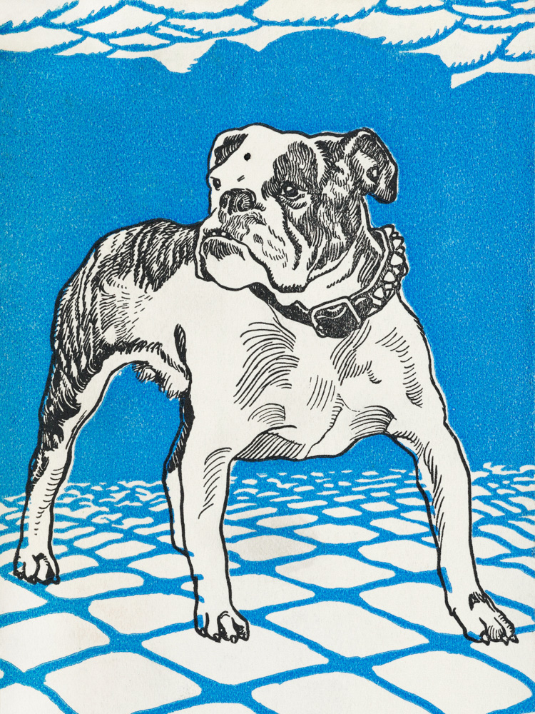 Bulldog