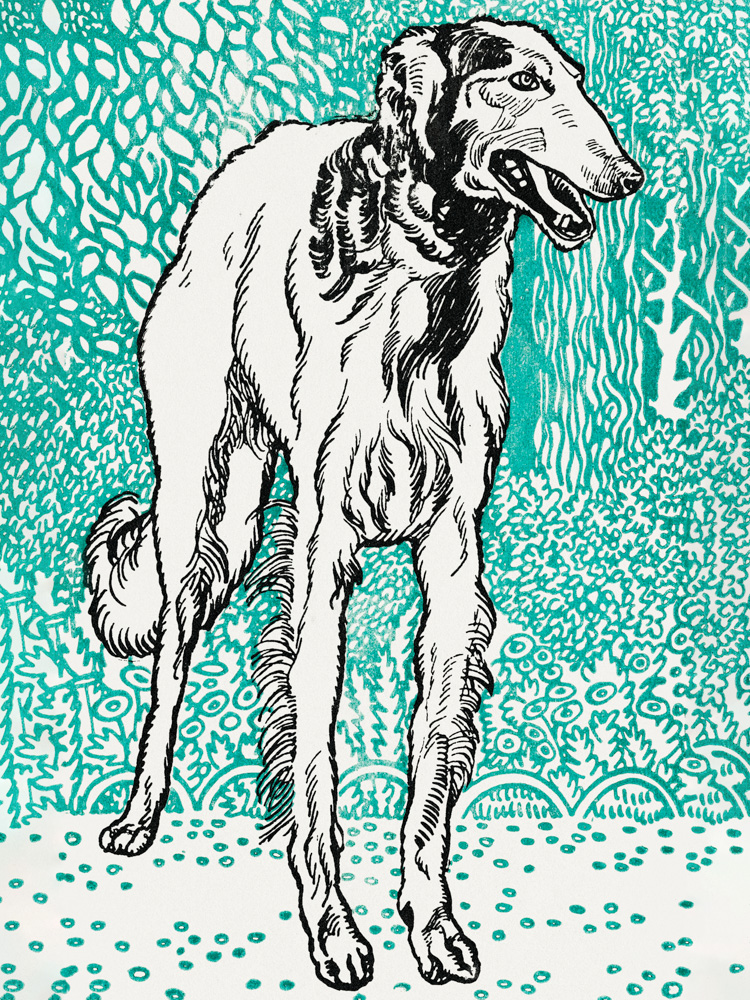 Greyhound
