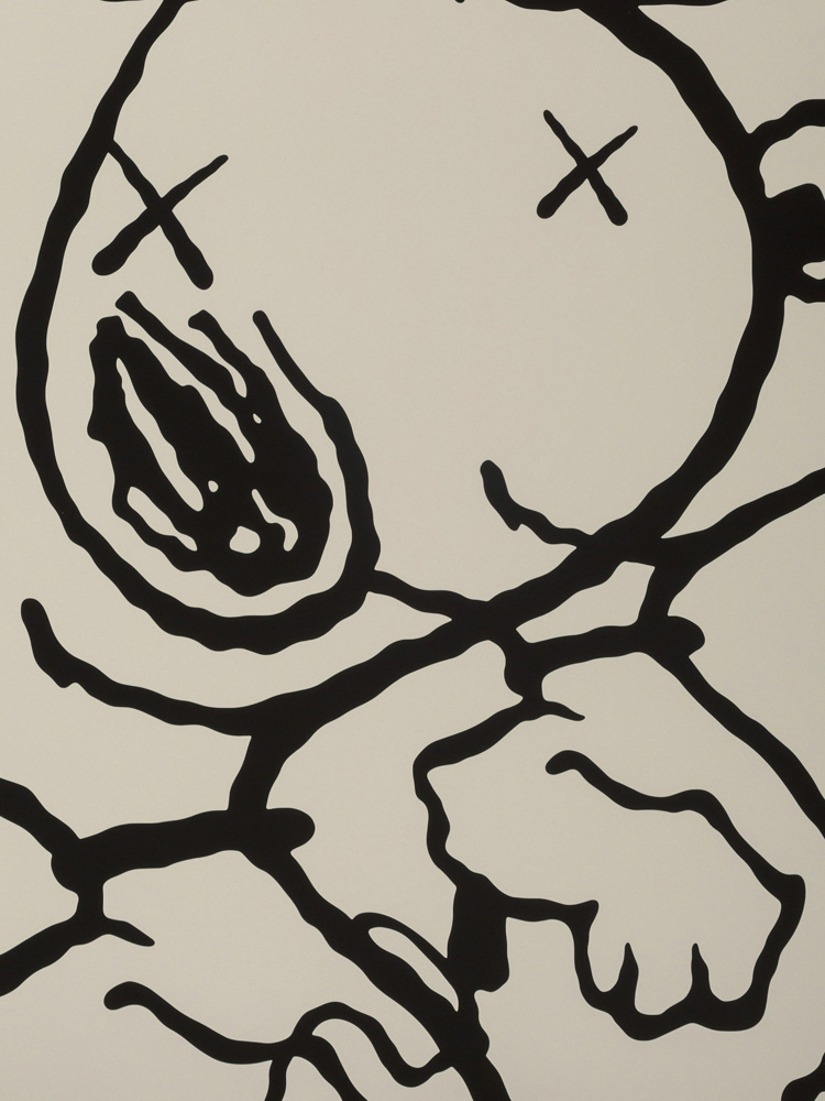 Kaws Artwork