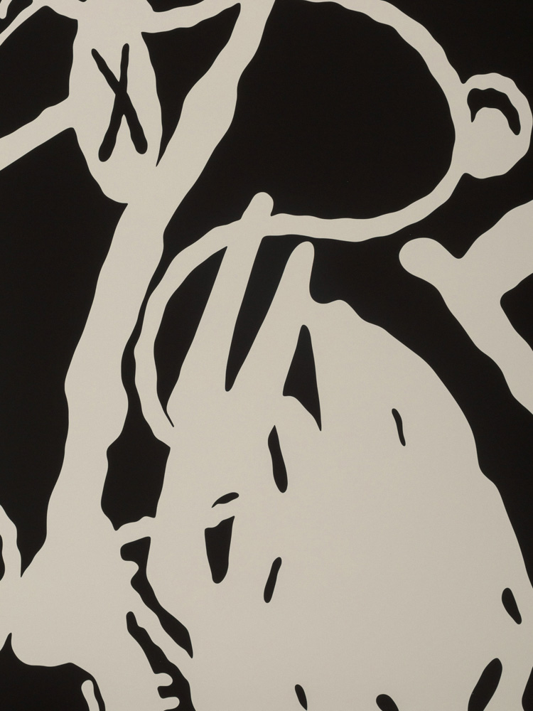 Kaws Artwork