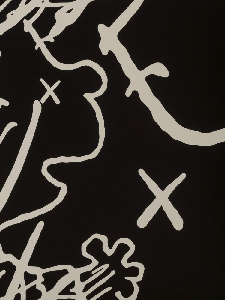 Kaws Artwork